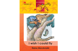 I Wish I Could Fly